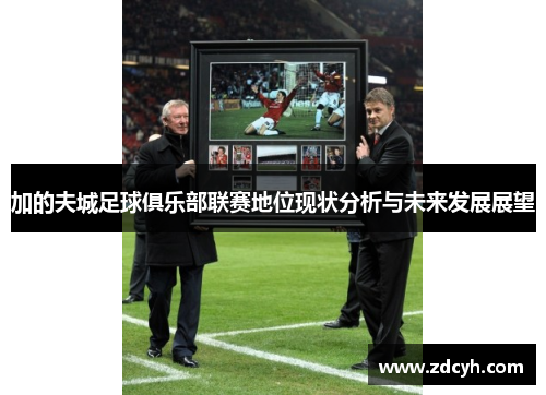 加的夫城足球俱乐部联赛地位现状分析与未来发展展望